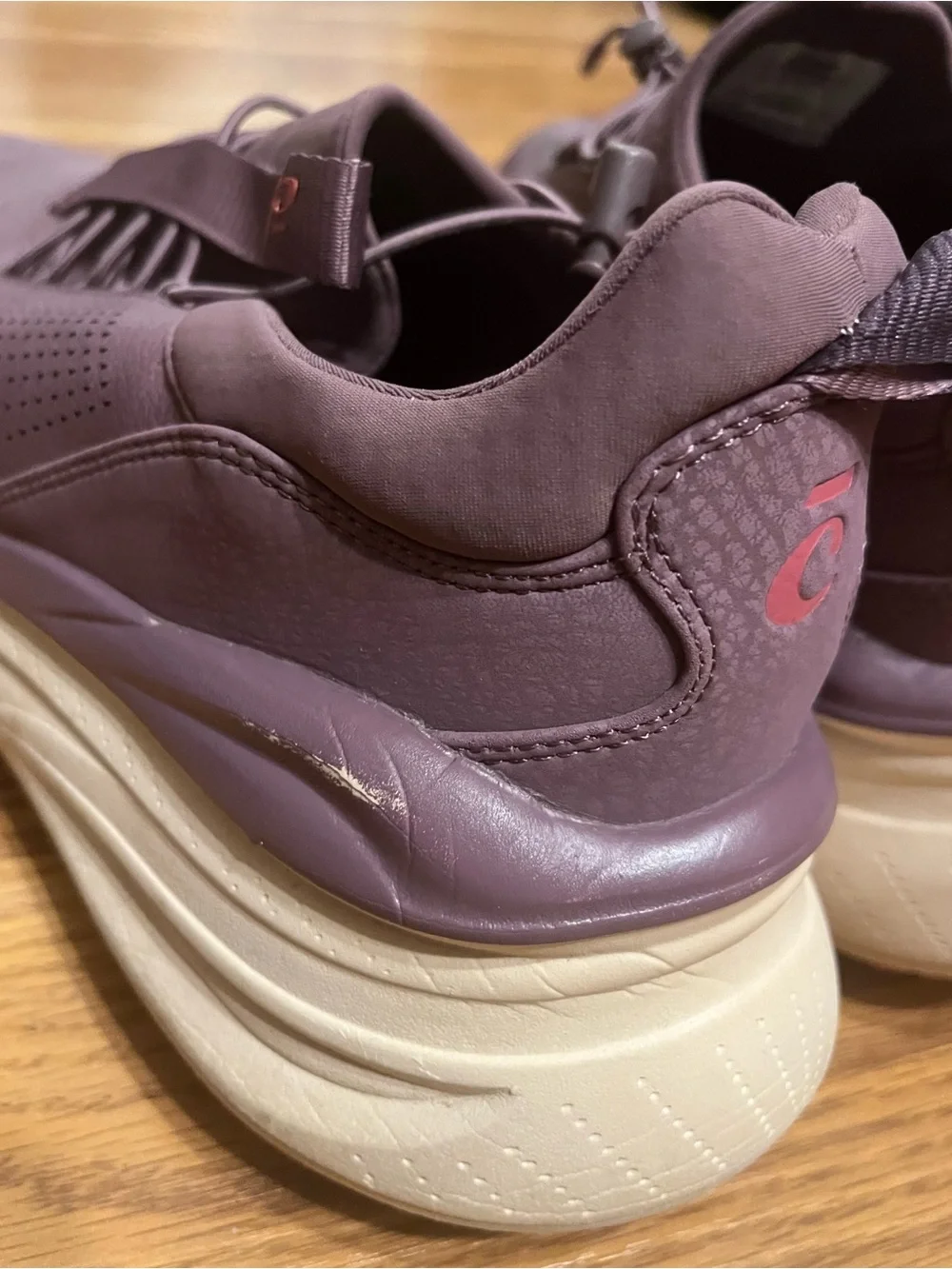 Clove Forte Cushioned Shoes in Plum